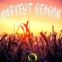 Harvest Season - Single - Avidan Smith