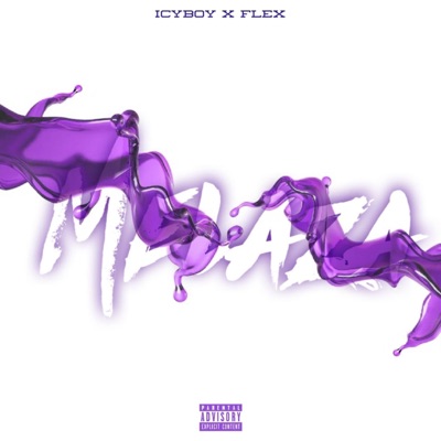 Melaza (feat. Flex) - Single