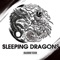 Sleeping Dragons - Brandon Yates lyrics