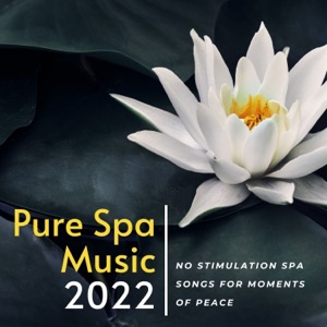 Pure Spa Music 2022 - No Stimulation Spa Songs for Moments of Peace
