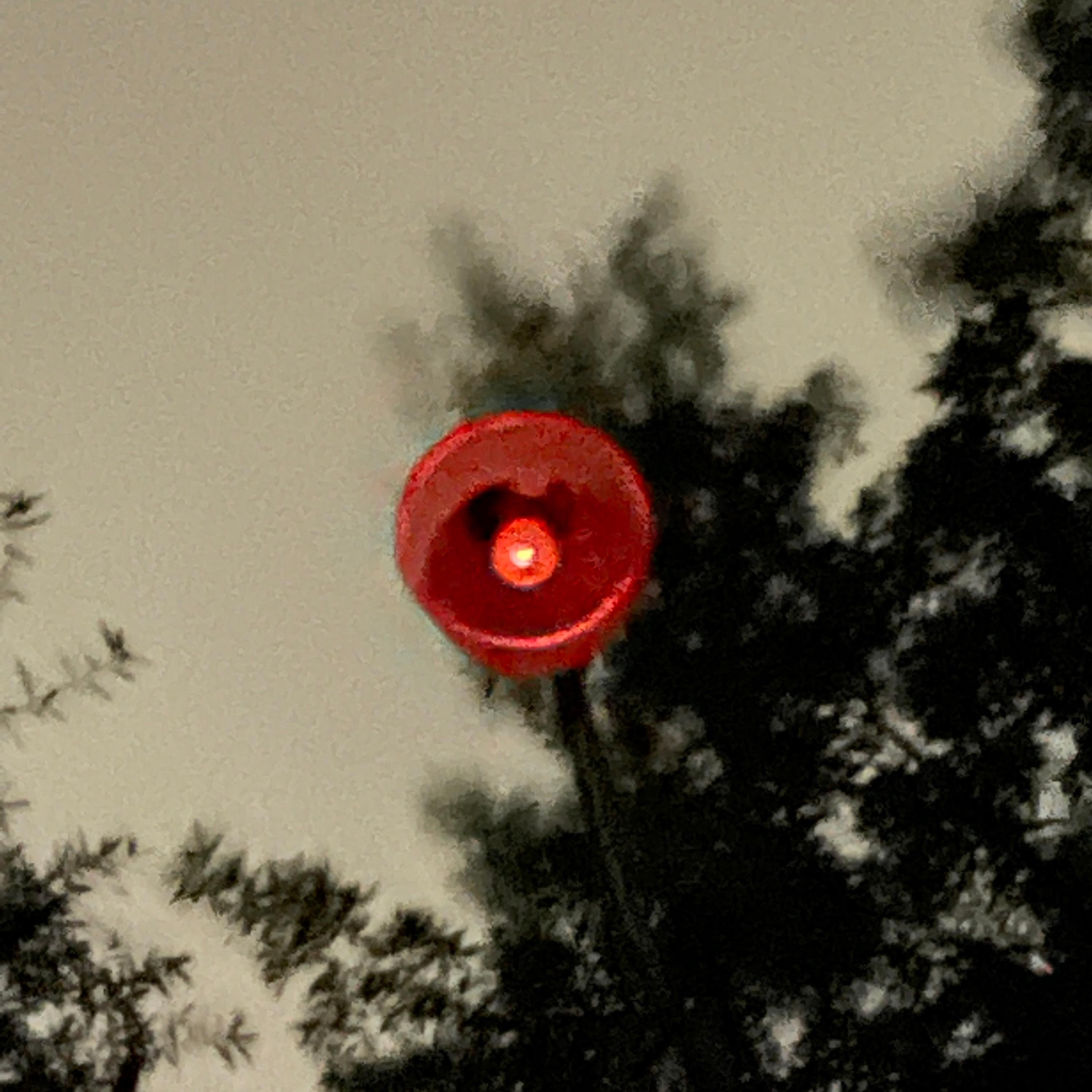 Chickenshoe - Single