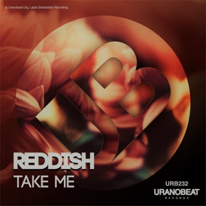 Take Me - Single