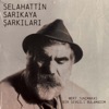 Bir Sevgili Bulamadım - Single