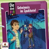 Folge 81: Geheimnis im Spukhotel artwork