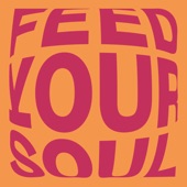 Feed Your Soul artwork