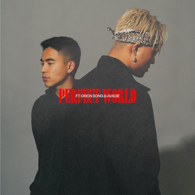 Perfect World (feat. Avacie) - Single