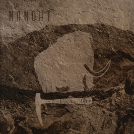 На Вайгач FoN