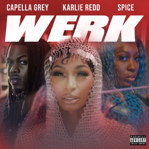 Werk (feat. Spice & Capella Grey)