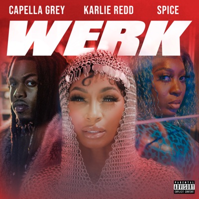 Werk (feat. Spice & Capella Grey) - Single