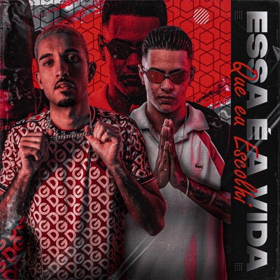 Essa e a Vida Que Eu Escolhi (feat. MC DOM LP) - Single