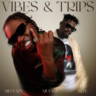 Vibes & Trips (feat. Ycee & King Mufasa) - Single