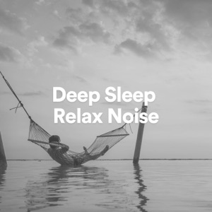 Deep Sleep Relax Noise