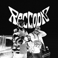Raccoon (feat. Loky) - Single - 04