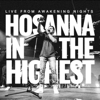 Hosanna (in the highest) (feat. Alex Zablotskiy) [live] - Flame Of Fire Worship