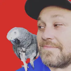 Pandapendu dinle, müzik videolarını izle, biyografisini oku, tur tarihlerini ve daha fazlasını gör!