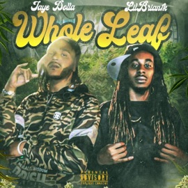 Whole Leaf (feat. LilBrian1k) Jaye Dolla