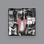 Undarated Ant