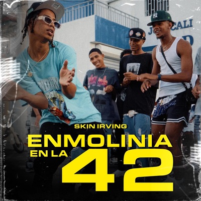 Enmolinia En La 42 (feat. SkinirvinG) - Single