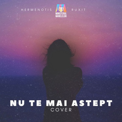 Nu te mai aștept (Cover) - Single