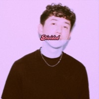 Divided - Single - Flannel Albert