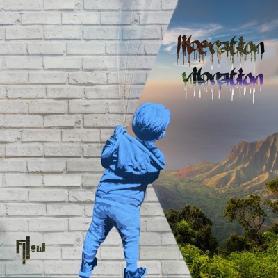 Liberation Vibration - Single