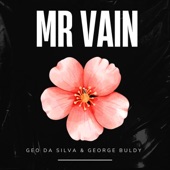 Mr Vain (Wonderland extended mix) artwork
