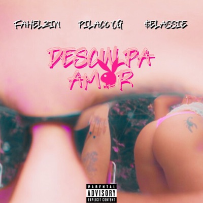 Desculpa Amor - Single