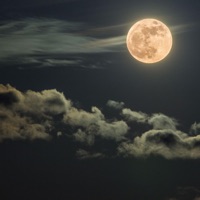 Okay!! - Single - LNF