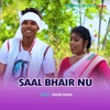 Saal Bhair Nu - Single