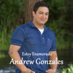 Andrew Gonzales - Estoy Enamorado