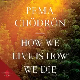 How We Live Is How We Die (Unabridged)