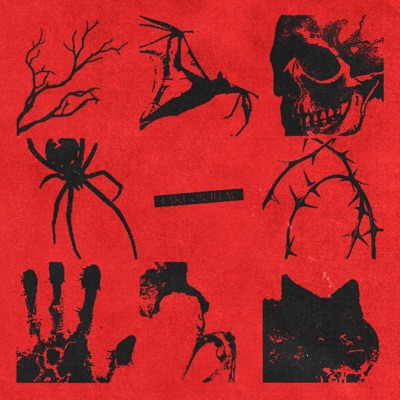 Fake or Real - Single