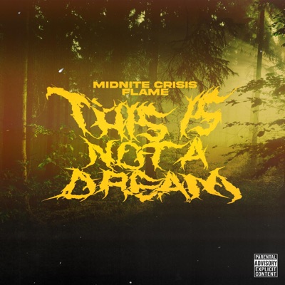 NOT A DREAM (feat. FLAME) - Single