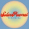 Solar Powered (feat. Jacob Sigman) - Fulton Lee lyrics