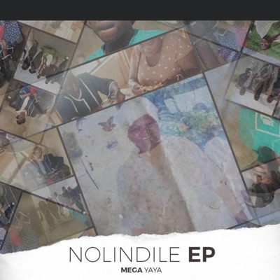 Iculo Lika Nolindile (feat. Lady X) - Single