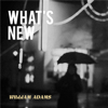 What's New - William Adams