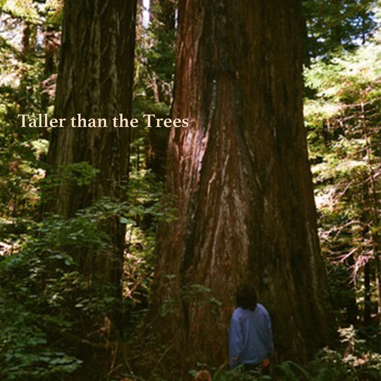 GUS – Taller than the Trees (2024) [iTunes Match M4A]