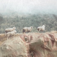Parasite - EP - Burnt Log