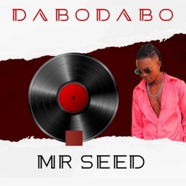 Dabo Dabo (feat. Betty Bayo) Mr Seed