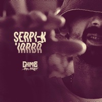 Serpi-n Iarba - Single - Chimie