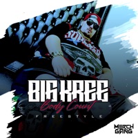 Body Count Freestyle - Single - Big Kree