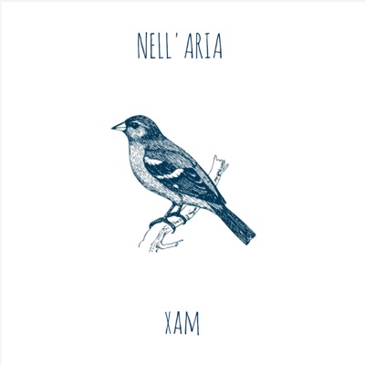 NELL'ARIA (feat. Zerbo) - Single