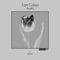 Awake (Sintek Remix) - Tom Cohen lyrics