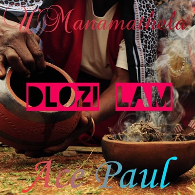 Dlozi Lam - Single