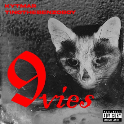 9 VIE (feat. Tino thebenzoboy) - Single