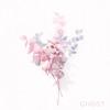 Ghost - Single