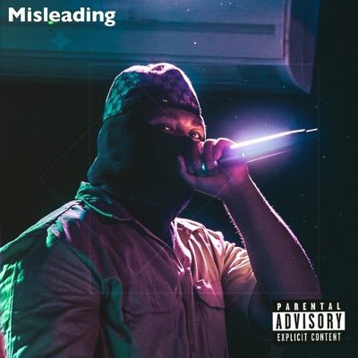 Misleading - Single