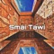 Smai Tawi (feat. Bamidele Hotep) - Roy Ahhlee lyrics
