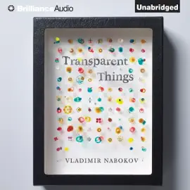 Transparent Things (Unabridged)