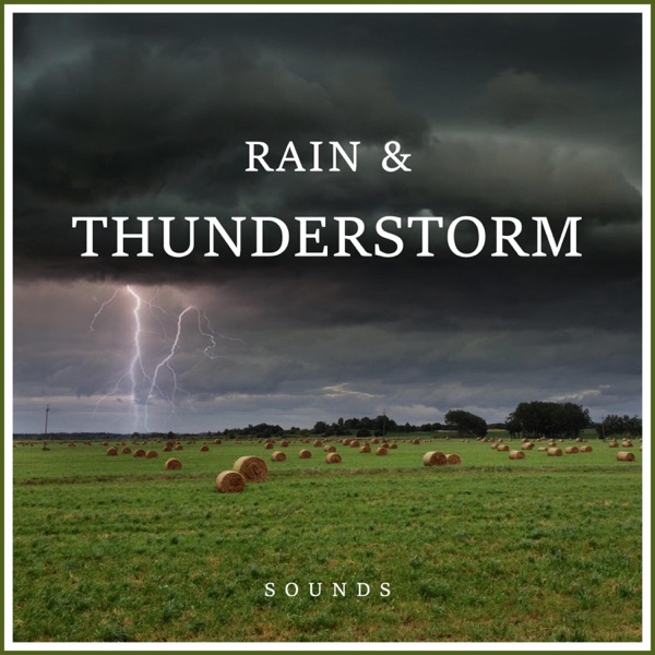 Rain and Thuderstorm Sounds